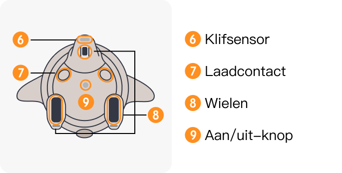 image (5).png