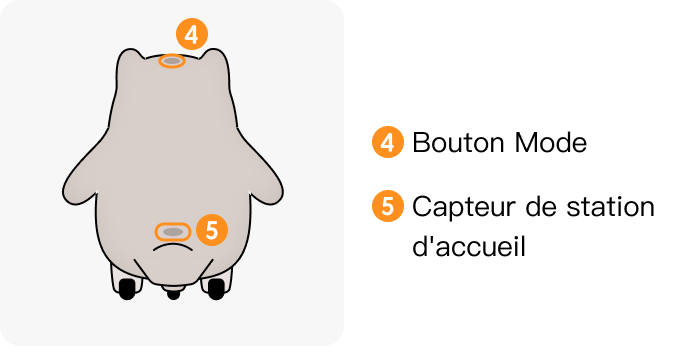 image (1).png