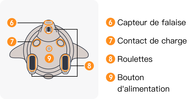 image (2).png