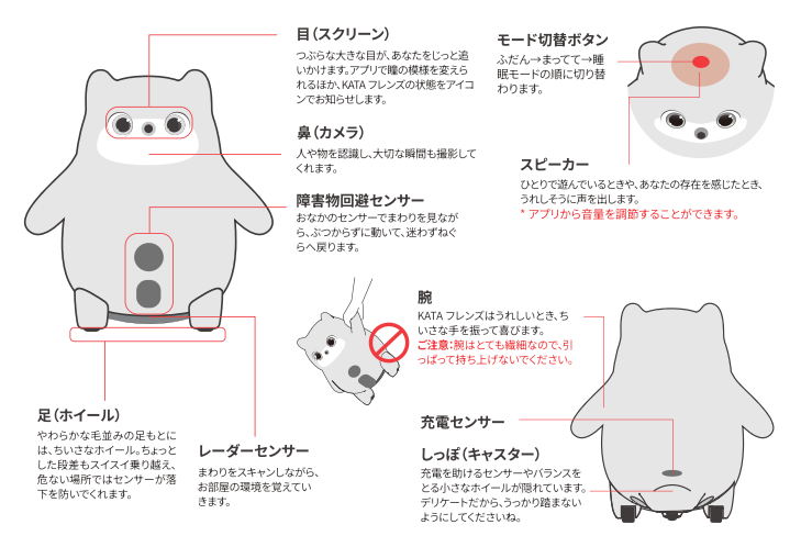 image (6).png
