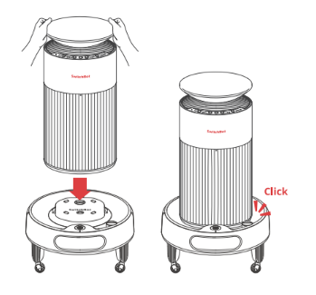 image (41).png